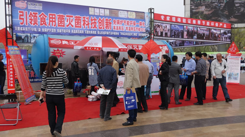 Shandong Qihe edible fungi Exhibition